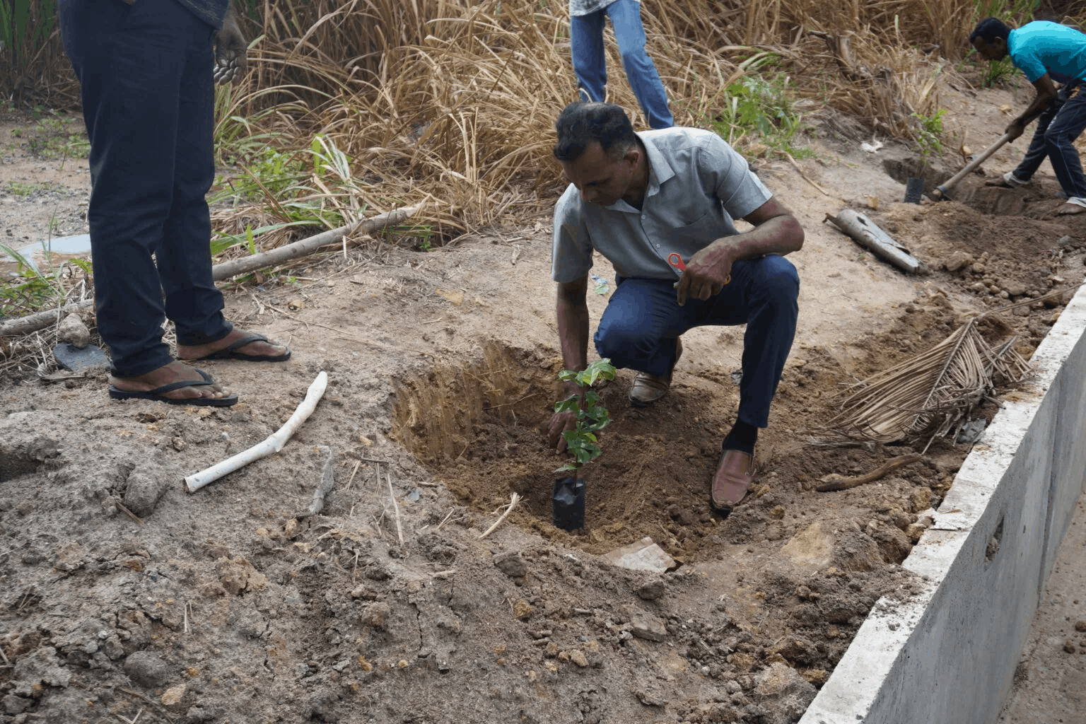 Organizes Anoda Planting Program at Mirigama Sathsewana Rehabilitation Center