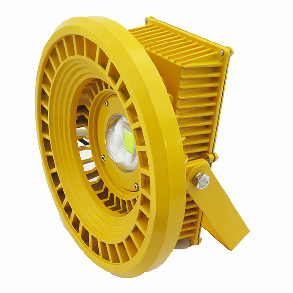 100W Explosion Proof Light (Cool White / Warm White) 