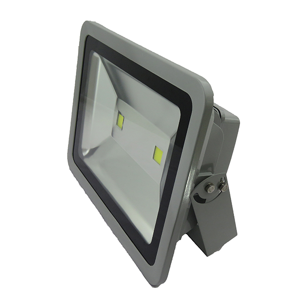 100W Flood Light (Cool White / Warm White)