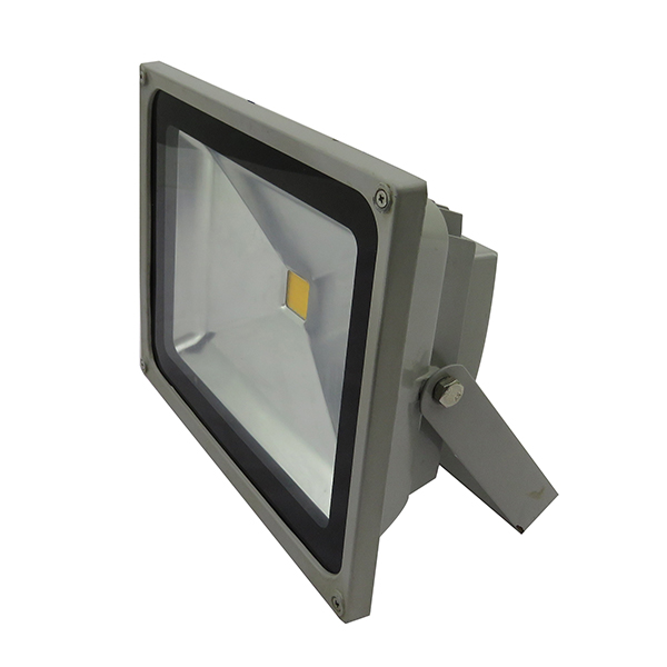 50W Flood Light (I) (Cool White / Warm White)