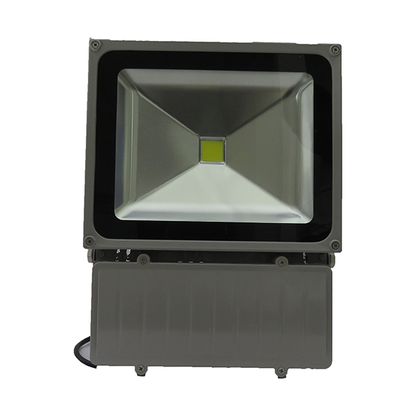 70W Flood Light (Cool White / Warm White) 