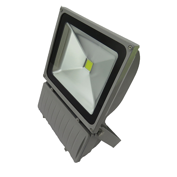 70W Flood Light (Cool White / Warm White) 