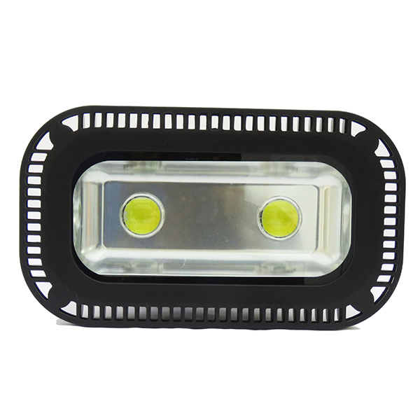 100W Projection Light (Cool Light / Warm White) (Explosion Proof) 