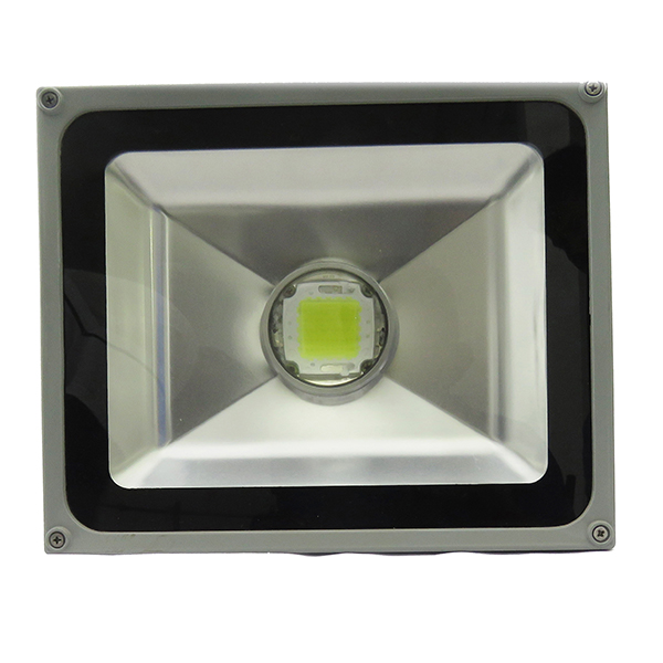 50W Projection Light (Cool White / Warm White)