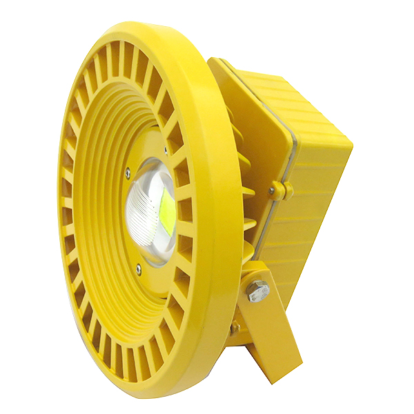 50W Explosion Proof Light (Cool White / Warm White)