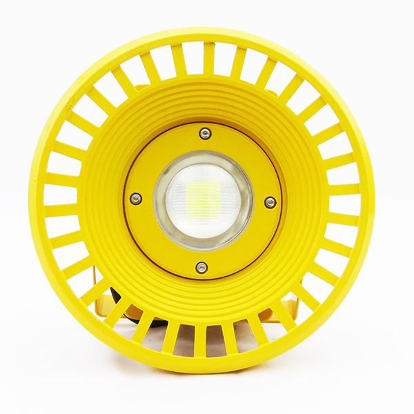 50W Explosion Proof Light (Cool White / Warm White)