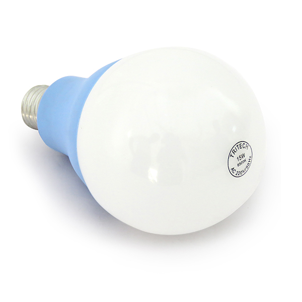 15 W House Bulb