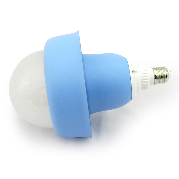 40 W House Bulb