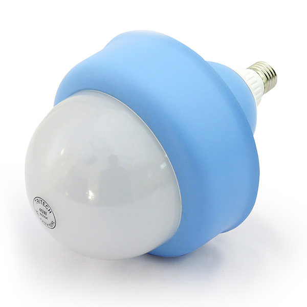 40 W House Bulb