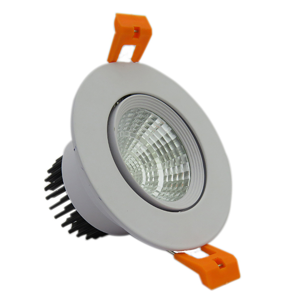 10 W Down Light (Cool White / Warm White) 