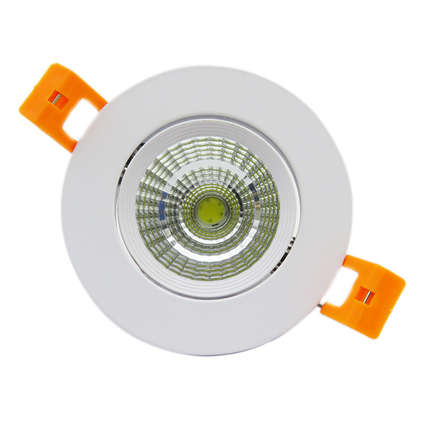 10 W Down Light (Cool White / Warm White) 