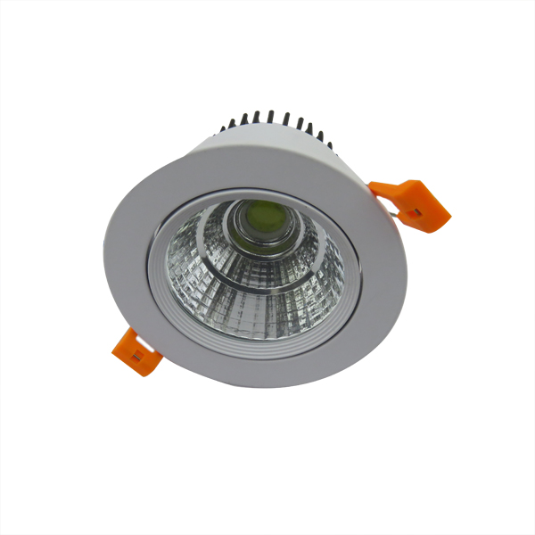 20 W Down Light (Cool White / Warm White) 