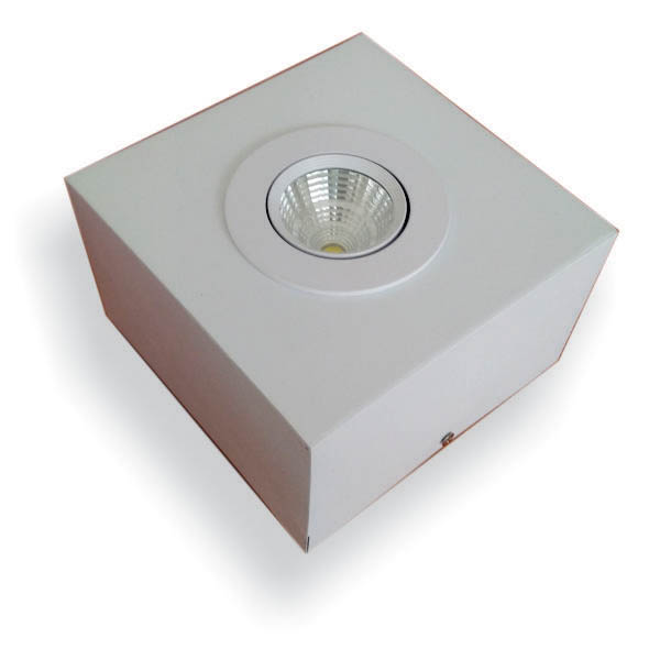 Emergency Down Light (Surface Type)