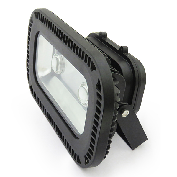 100W Projection Light (Cool Light / Warm White) (Explosion Proof) 